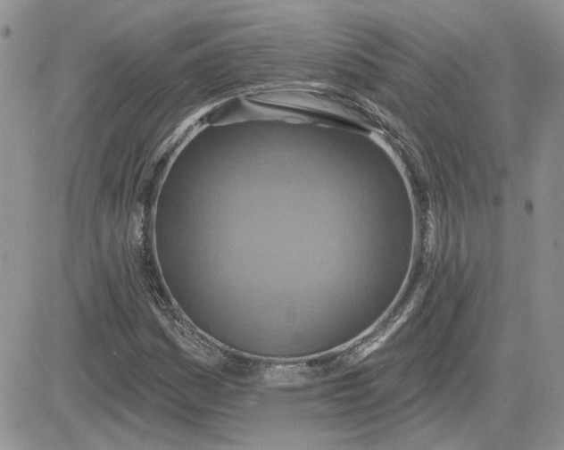 X0000081281161200701251620