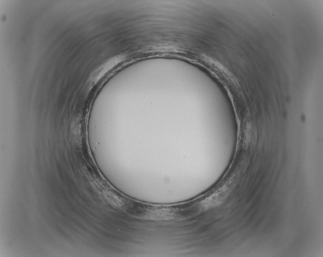 X0000081281162200701251620