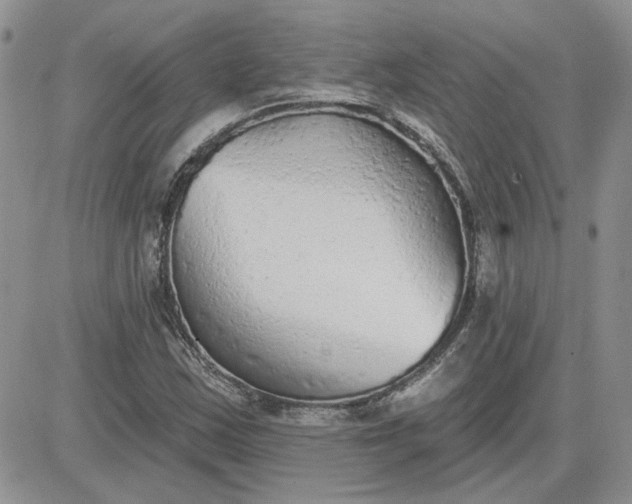 X0000081281163200701251620