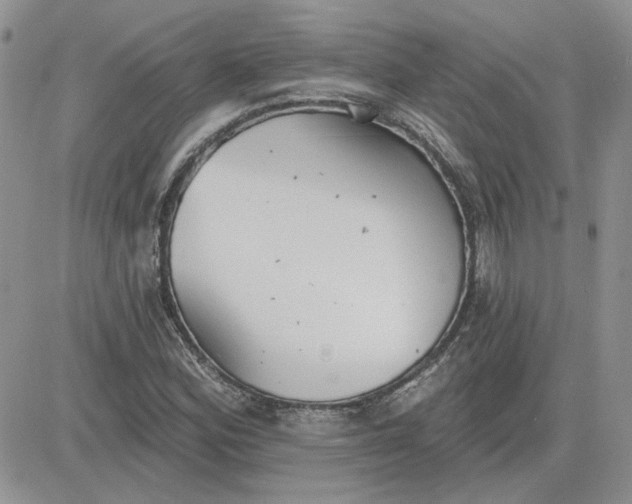 X0000081281164200701251620