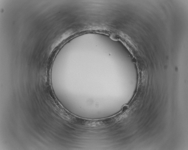 X0000081281165200701251620