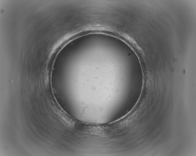 X0000081281167200701251620