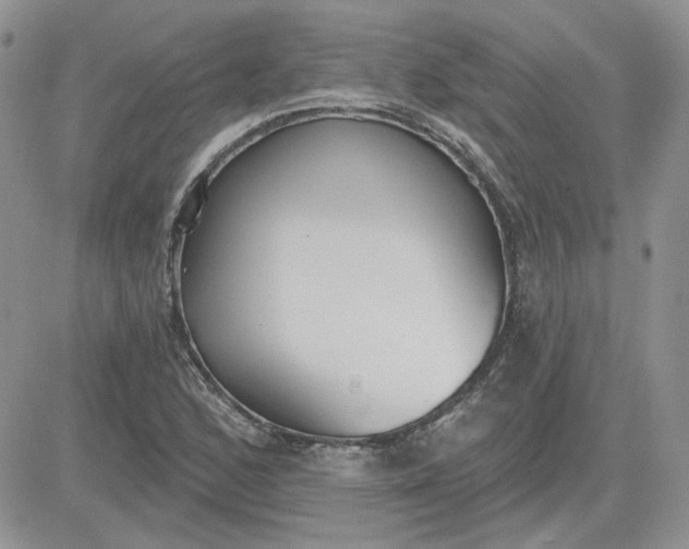 X0000081281168200701251620