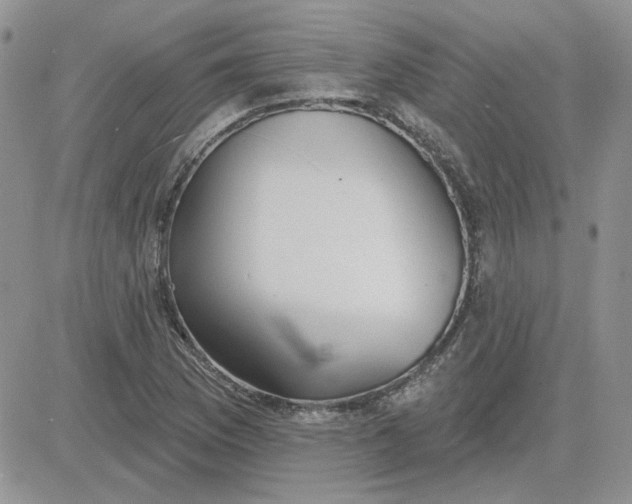 X0000081281169200701251620