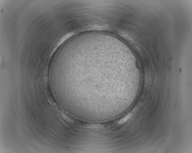 X0000081281170200701251620