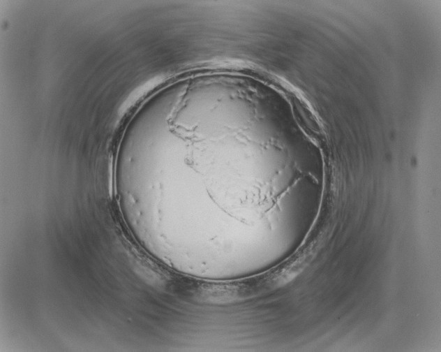 X0000081281171200701251620