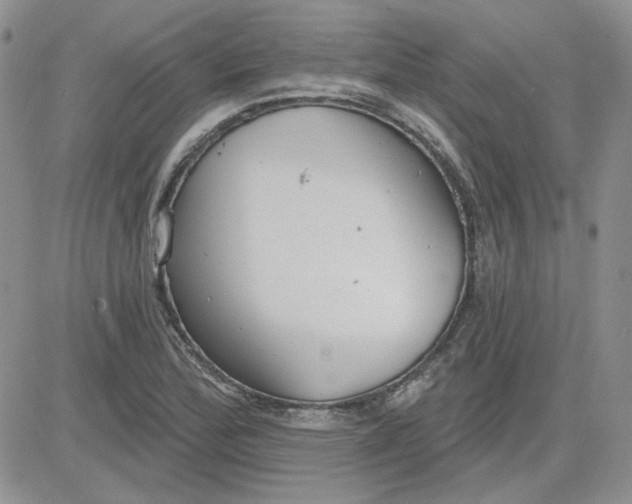 X0000081281172200701251620