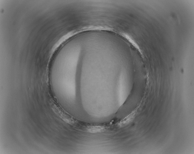 X0000081281173200701251620