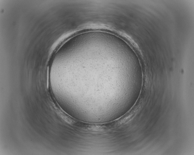 X0000081281175200701251620