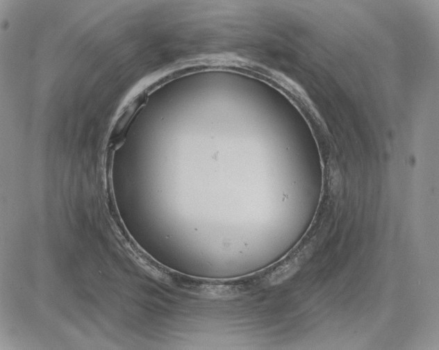 X0000081281176200701251620