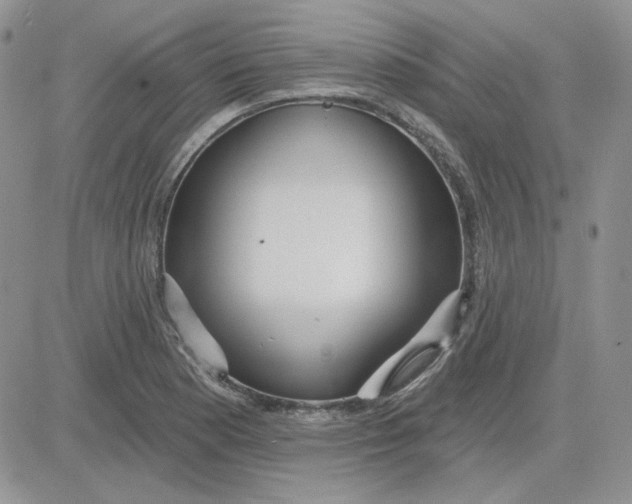 X0000081281177200701251620