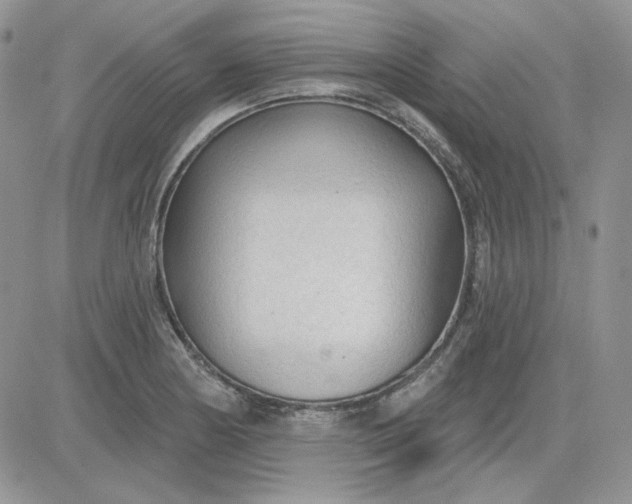 X0000081281178200701251620