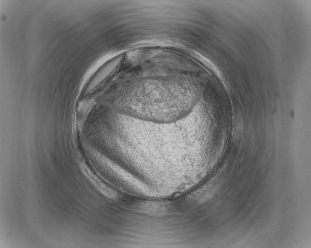 X0000081281179200701251620