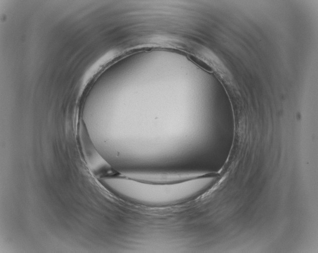 X0000081281180200701251620