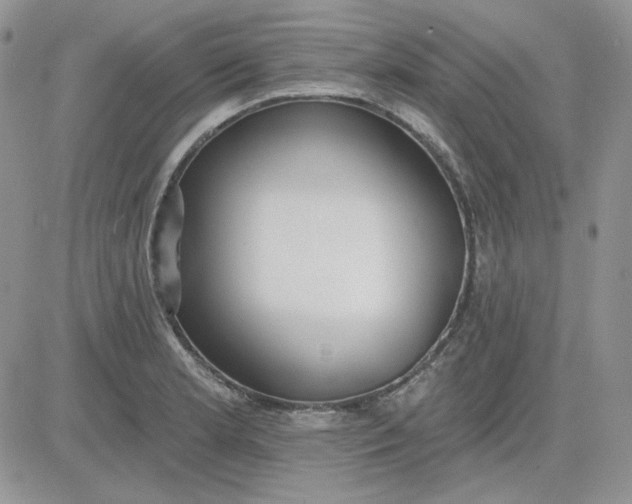 X0000081281181200701251620