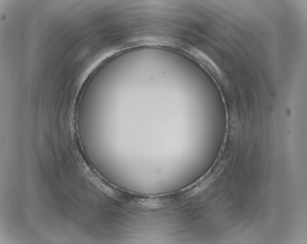 X0000081281182200701251620