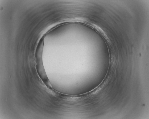 X0000081281184200701251620