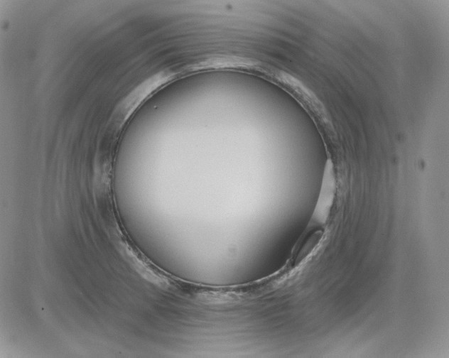 X0000081281185200701251620