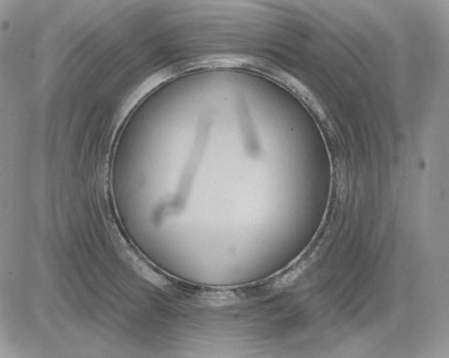 X0000081281186200701251620