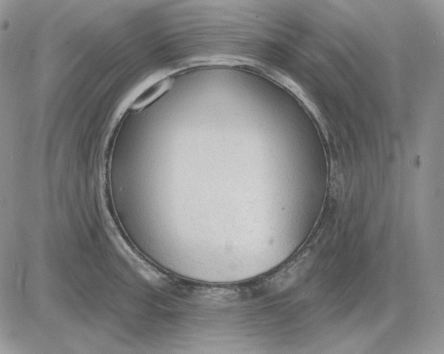 X0000081281187200701251620