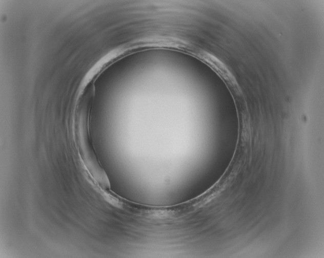 X0000081281188200701251620