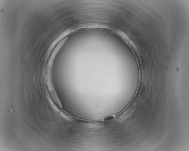 X0000081281189200701251620