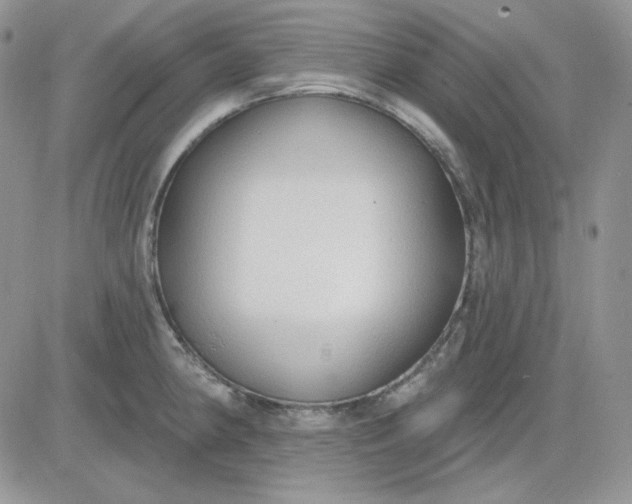 X0000081281190200701251620