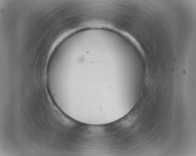 X0000081281191200701251620