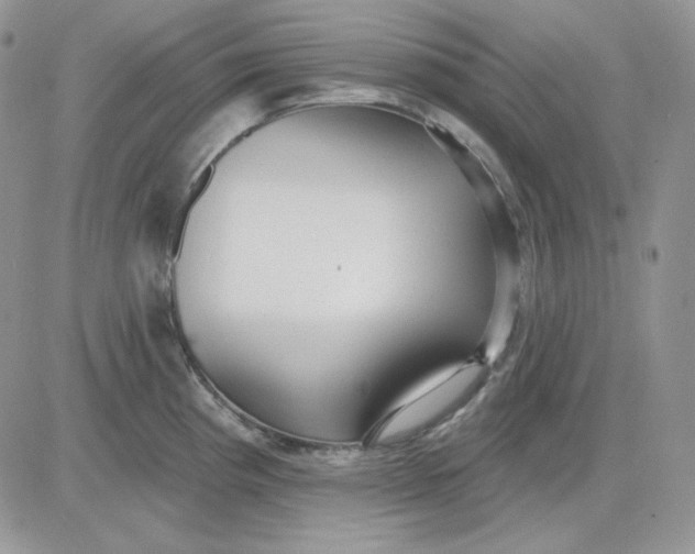 X0000081281193200701251620