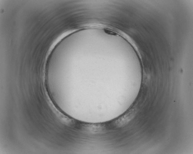 X0000081281195200701251620