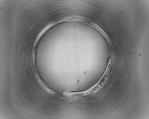 X0000081281196200701251620