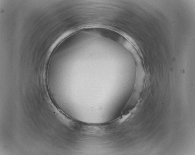 X0000081281197200701251620