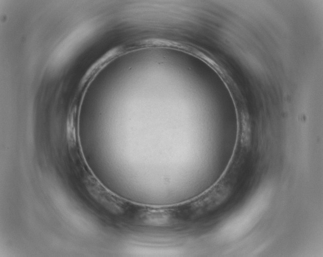 X0000081281198200701251620