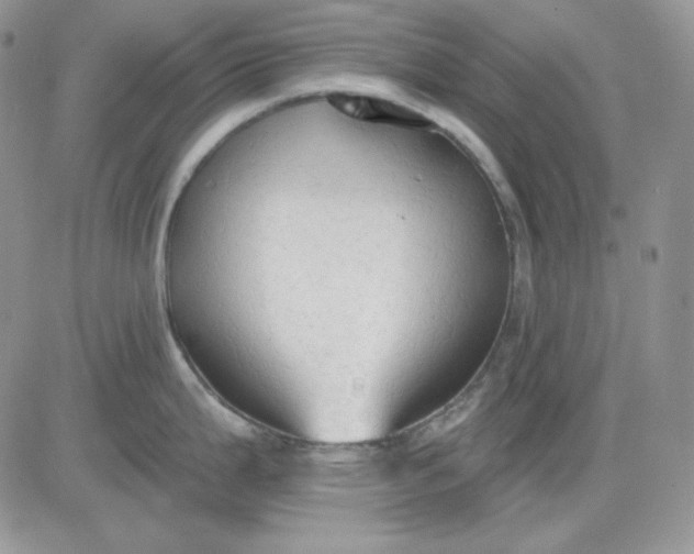 X0000081281199200701251620