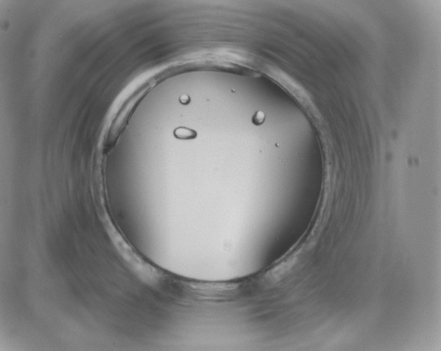 X0000081281200200701251620