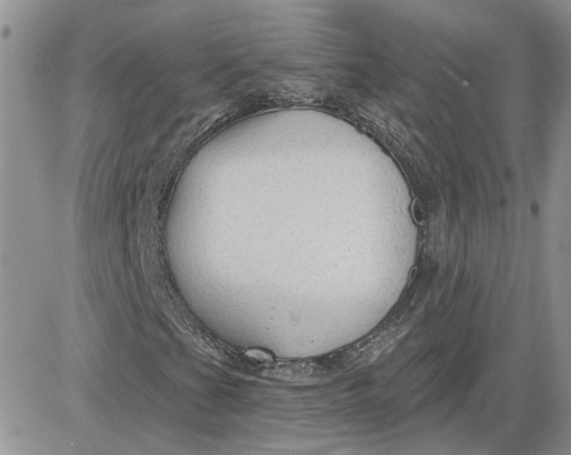 X0000081281201200701251619