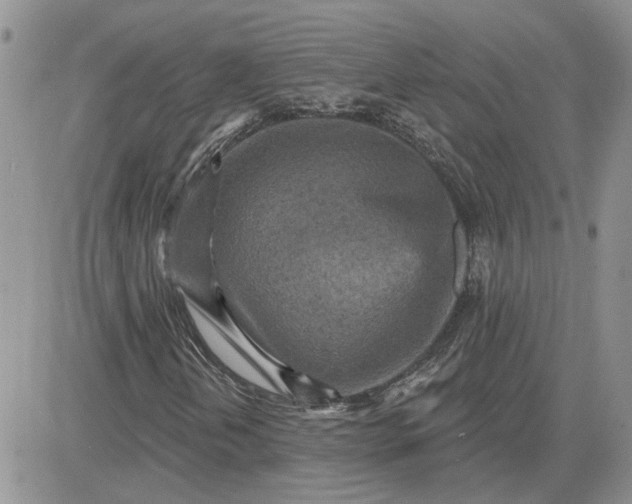 X0000081281202200701251619