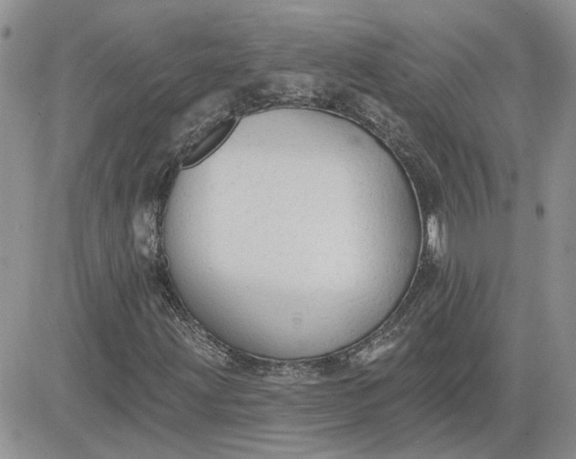 X0000081281203200701251619