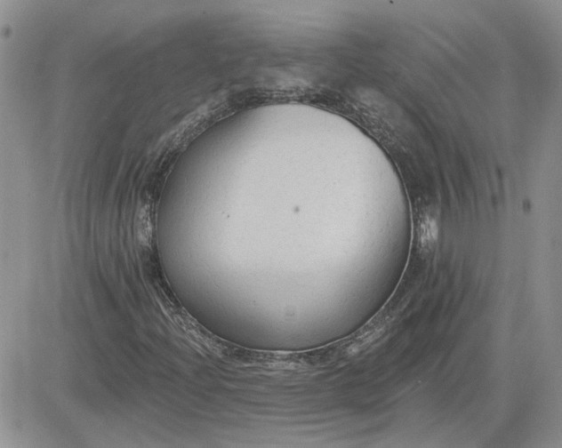 X0000081281204200701251619