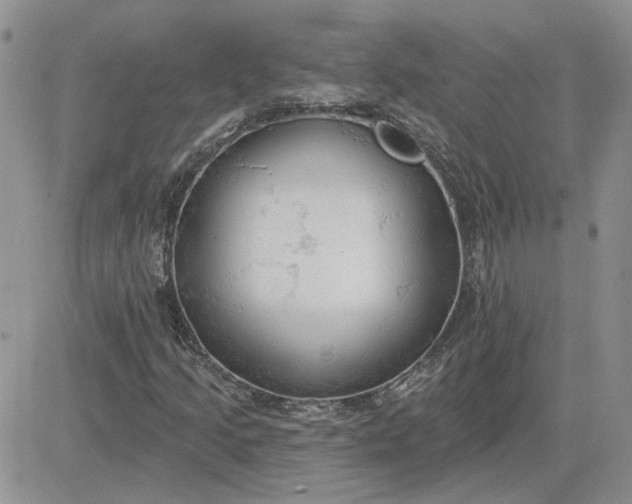 X0000081281205200701251619