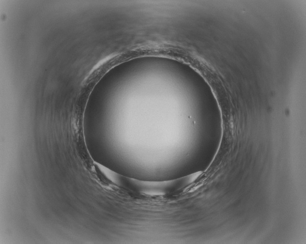 X0000081281206200701251619