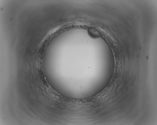 X0000081281207200701251619