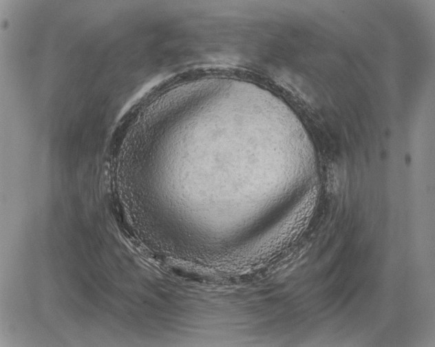 X0000081281208200701251619