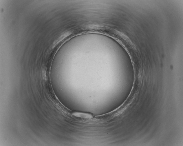 X0000081281209200701251619