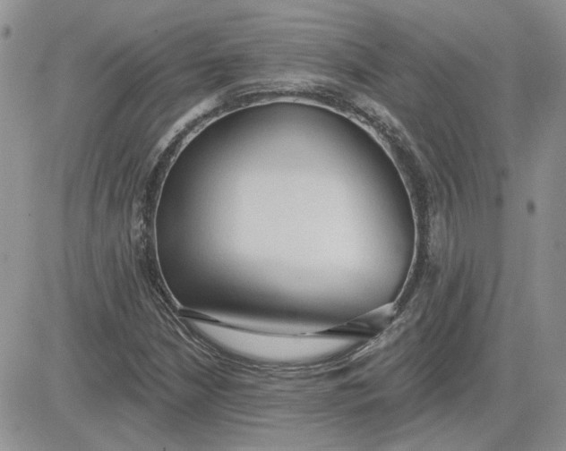 X0000081281210200701251619