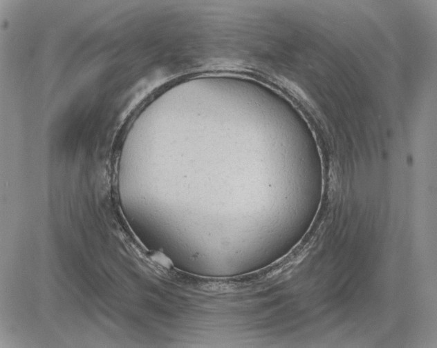 X0000081281212200701251619