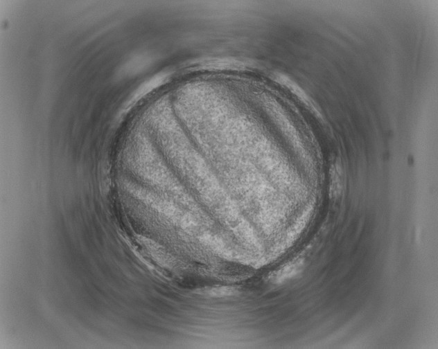 X0000081281213200701251619