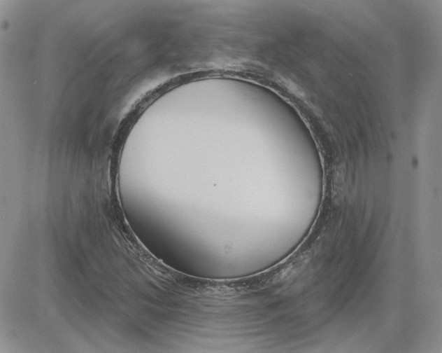 X0000081281214200701251619