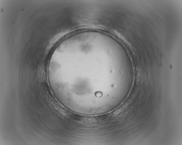 X0000081281215200701251619