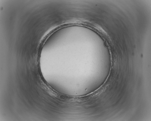 X0000081281216200701251619